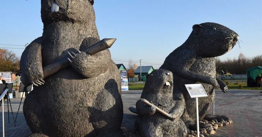 Самые большие бобры в Беларуси: в Крупском районе появилось новое место для селфи