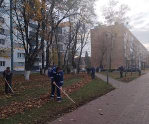 Осенний марафон чистоты: в Пинске кипит работа по уборке опавшей листвы