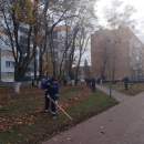 Осенний марафон чистоты: в Пинске кипит работа по уборке опавшей листвы