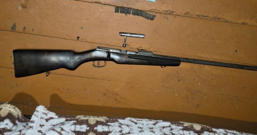 Браконьеры убили лосиху в Пинском районе: что нашли во время обысков