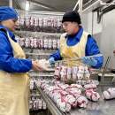 Новые цеха и современное оборудование: на Пинском мясокомбинате проходит модернизация
