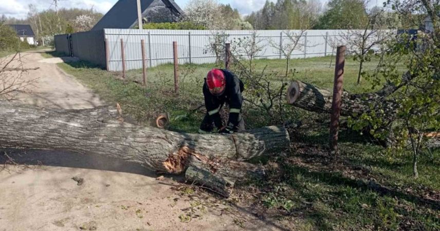 В Брестской области спасатели устраняли последствия сильного ветра: 17 упавших деревьев и поврежденные кровли