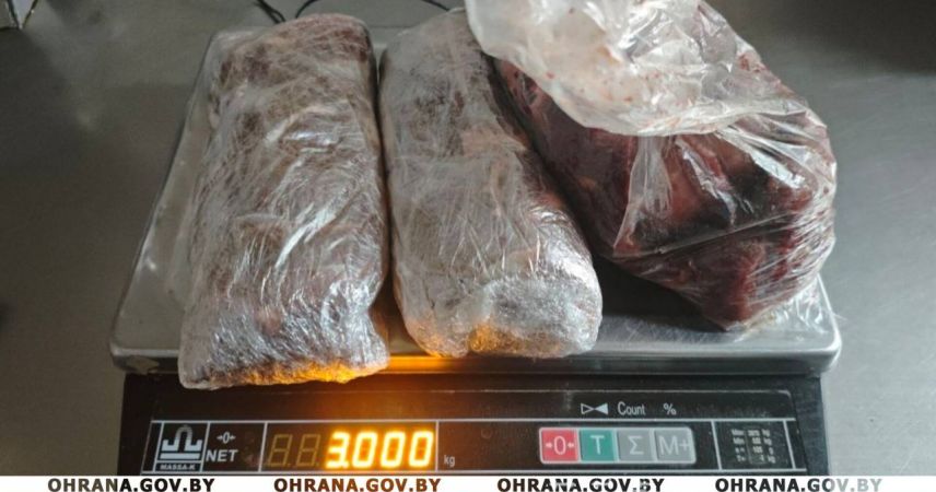 Мясной бонус к зарплате: в Пинске ветврач попыталась тайком вынести продукцию с работы