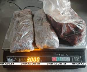 Мясной бонус к зарплате: в Пинске ветврач попыталась тайком вынести продукцию с работы