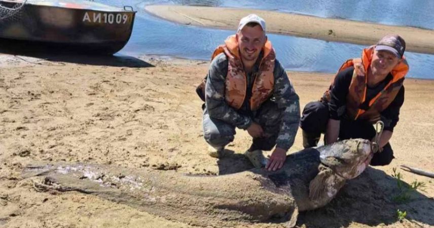 Речной гигант: в Житковичском районе поймали сома длиной 2,3 метра