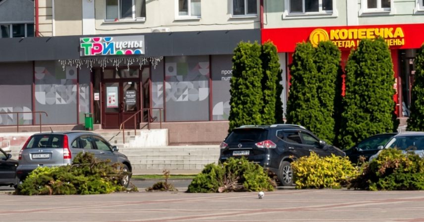 Фотофакт: на площади Ленина коммунальщики убрали увядшие хвойники