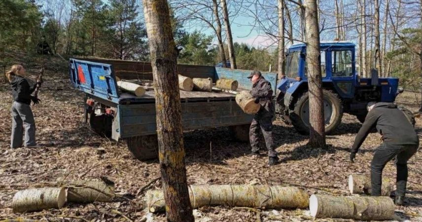В Пинском районе продолжается месячник по благоустройству