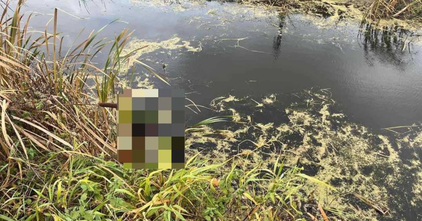 В Пинском районе в мелиоративном канале обнаружено тело женщины