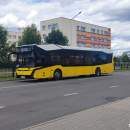 День без автомобиля в Пинске: автовладельцы получат право на бесплатный проезд 22 сентября