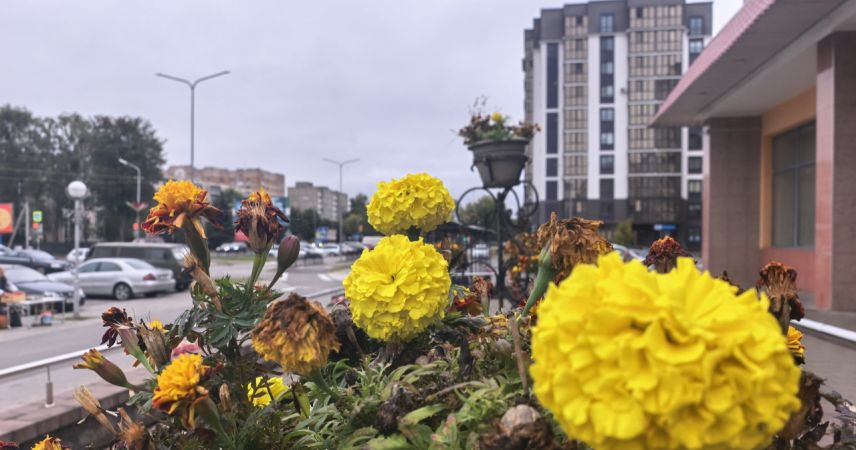 В Беларуси работникам предприятий разрешат выкупать арендное жилье