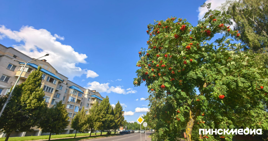 Жара до +37°С: в Беларуси на 1 августа объявили красный уровень опасности