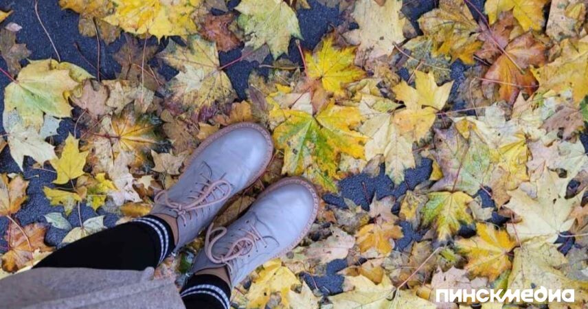 До -8 °С ночью, дожди, мокрый снег: какую погоду ждать в выходные 15-16 ноября в Беларуси