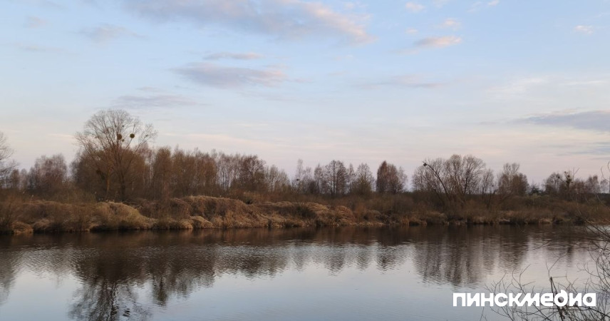 В Пинском районе с 15 апреля ограничено посещение лесов