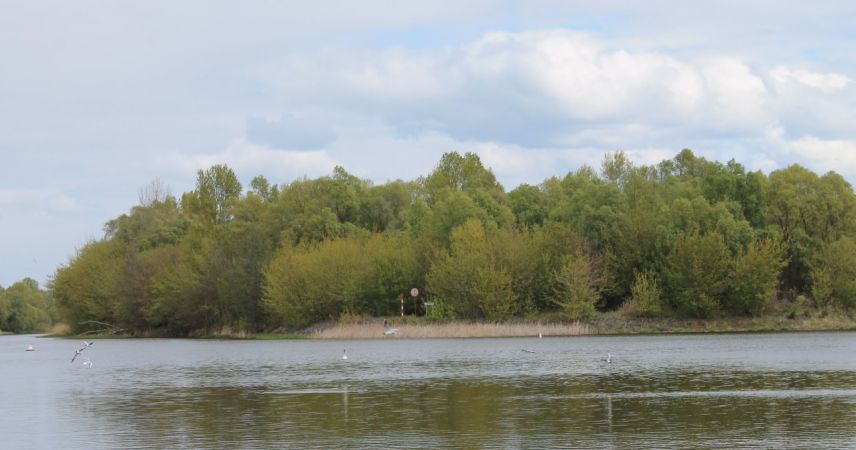 Опасный заплыв в Пинске: спасатели вытащили женщину из воды на реке Пина