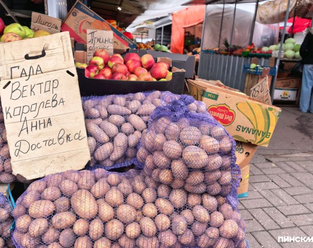 Сельскохозяйственные ярмарки начнут работать в Пинске с 10 октября: адреса и даты