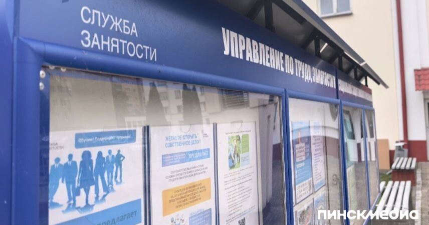 Поиск работы: какие способы предпочитают белорусы в 2025 году