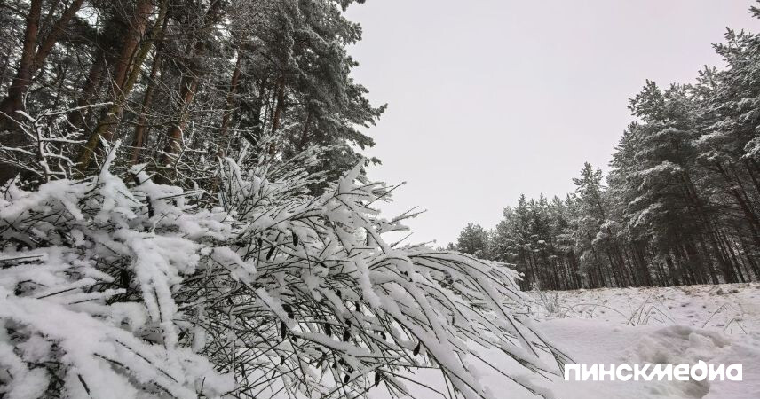 Зима-2026 в Беларуси оказалась аномально холодной: климатический обзор от Белгидромета