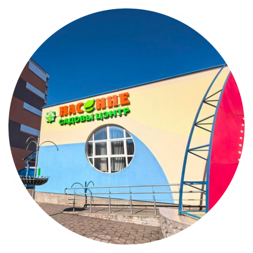 Семена и саженцы