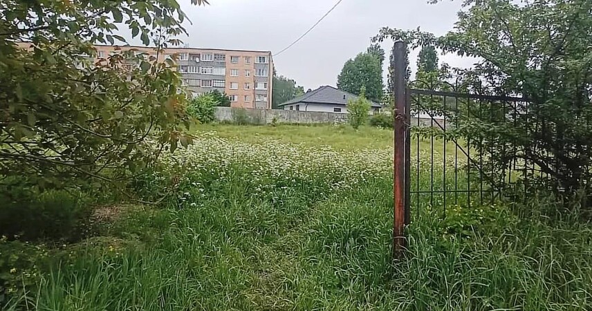 Пинск продолжает борьбу за чистоту: власти обозначили проблемные территории