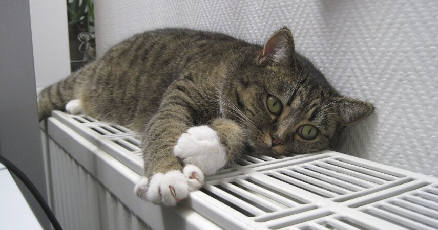 Порыв тепловой сети устраняют в микрорайоне Луги в Пинске