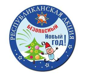 В Брестской области проходит акция «Безопасный Новый год»
