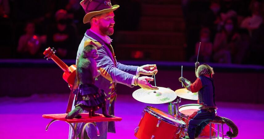 Белгосцирк отправляется в тур по Беларуси: в Пинске представления пройдут с 26 июля по 10 августа