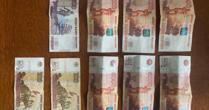 Пинчанин пригласил в гости незнакомку, а она его обокрала