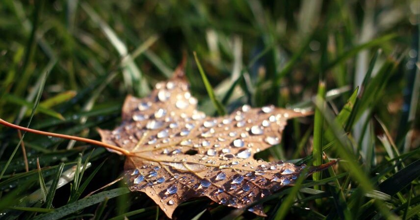 Ветер, дожди, грозы: какую погоду ждать 15-16 сентября в Беларуси