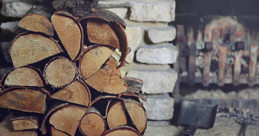 Контрольный звонок: Минлесхоз проверил, как на местах обеспечивают население дровами в условиях первых морозов