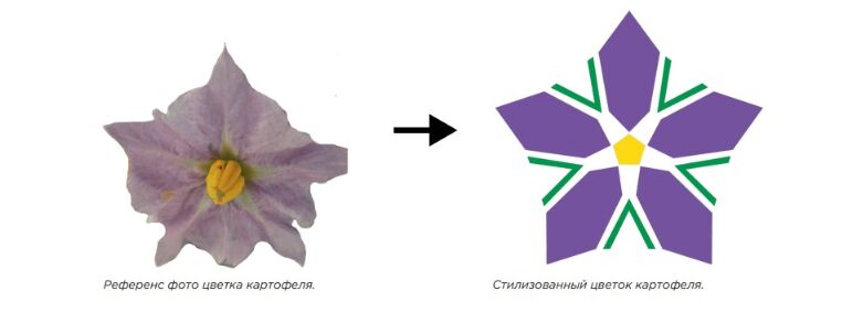 Цветок картофеля стал туристическим символом Беларуси