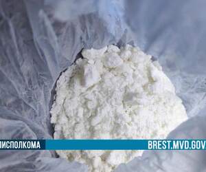 Два жителя Пинска задержаны за распространение: изъято более 100 граммов наркотиков