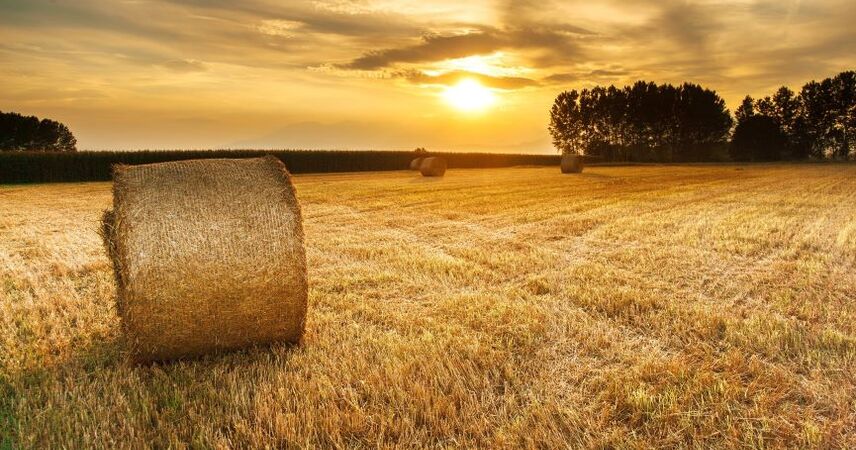 До +25°С и без осадков: какой будет погода в выходные 13-14 сентября в Беларуси