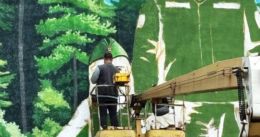 В Пинском районе появился новый мурал, посвященный защите лесов