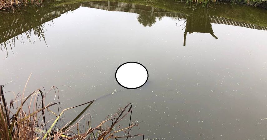 Два случая за два дня: в Пинском районе снова нашли тело женщины в воде