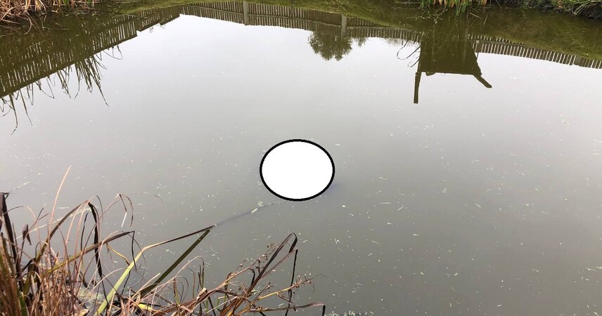 Два случая за два дня: в Пинском районе снова нашли тело женщины в воде