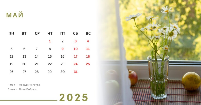 Впереди длинные выходные. Как будем работать и отдыхать в мае