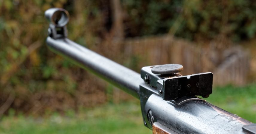 В Брестской области зафиксирован рост случаев неправомерного использования пневматического оружия