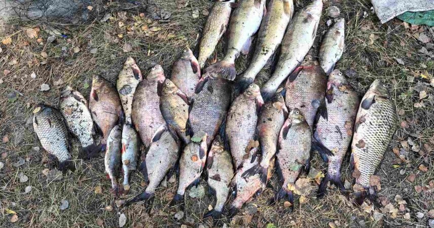 В Пинском районе задержали браконьеров с сетями и уловом свыше 30 кг