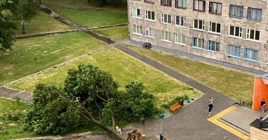 Стихия в Пинске: повреждены частные дома, спасатели ликвидируют последствия