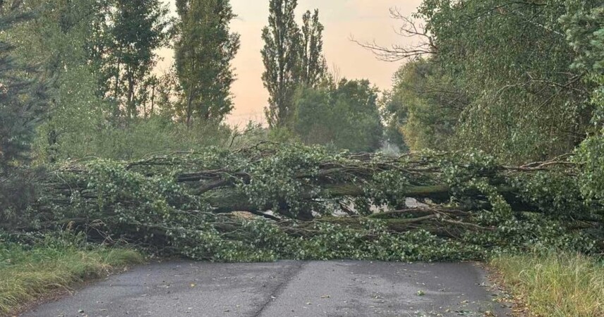 Циклон «Габриэль» идет в Беларусь: объявлен оранжевый уровень опасности