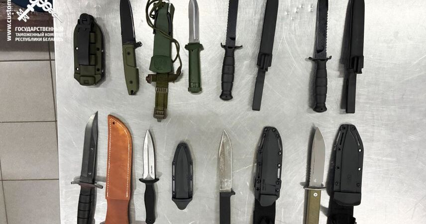 Гражданин Беларуси пытался незаконно ввезти на территорию страны 8 ножей