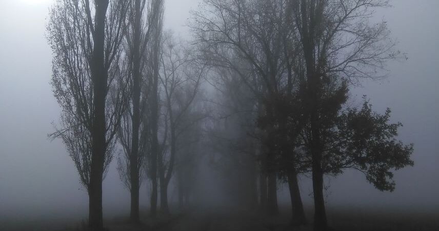 Туманы и осадки: оранжевый уровень объявили синоптики на 26 ноября