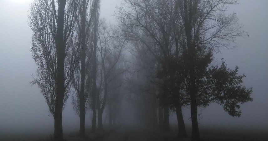Туманы и осадки: оранжевый уровень объявили синоптики на 26 ноября