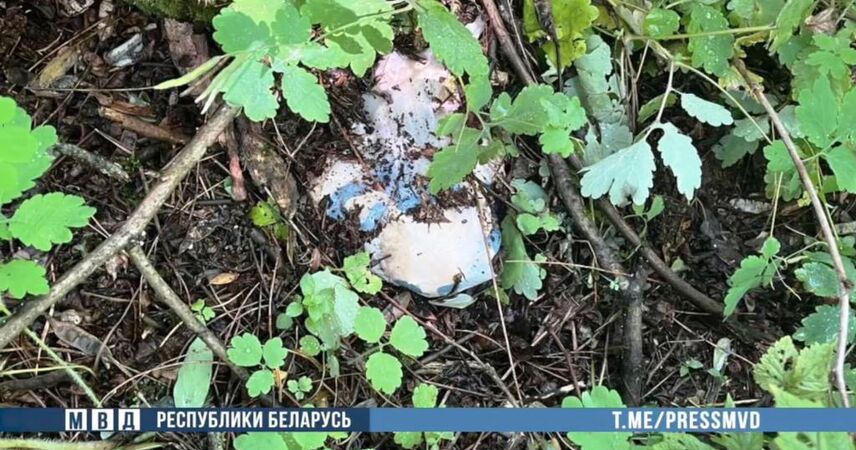 Каникулы в деревне у бабушки закончились уголовным делом: 2-х подростков-закладчиков задержали в Пинском районе