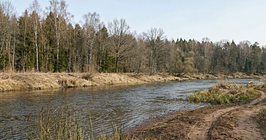 Трагедия в Борисовском районе: шестилетний мальчик погиб в реке Березина