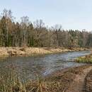 Трагедия в Борисовском районе: шестилетний мальчик погиб в реке Березина