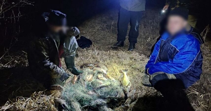 Незаконная рыбалка на 550 базовых величин: в Пинском районе задержали сеточников