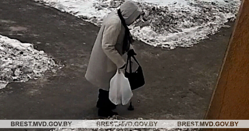 Кража в три этапа или «сериал» о жадности: в Пинске оперативники задержали 33-летнюю воровку