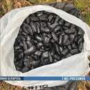 Жителю Кобрина грозит до 15 лет тюрьмы за работу на наркомаркет