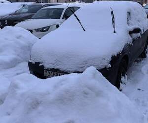 «Саморезы в кармане»: жительнице Пинского района пригрозили из‑за парковки на расчищенном месте